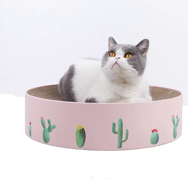 Green cactus cat scratching board, perfect modern pet furniture & toy.