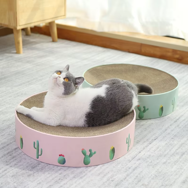 Feline enrichment: modern cat scratching board shaped like a cactus.