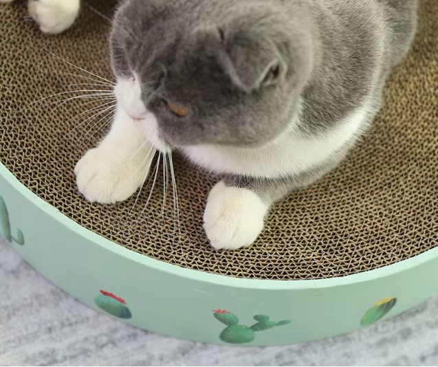 Cat furniture protector: cute cactus scratch board for playful cats.