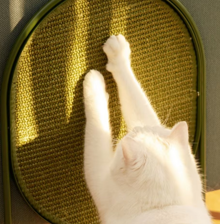 Modern cat scratching post with sleek design for ultimate claw care and stylish pet furniture. Durable & enriching.
