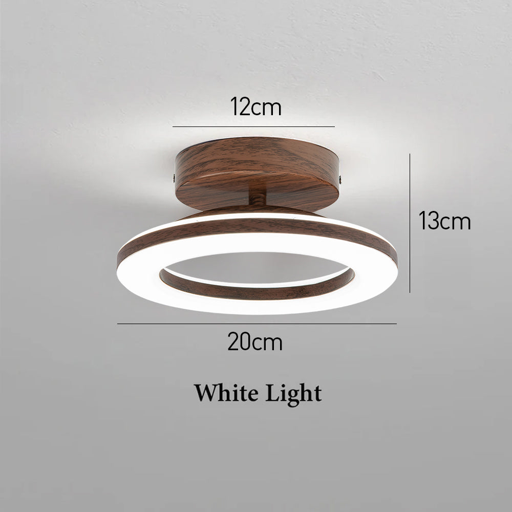 Contemporary round LED disc ceiling light, energy-efficient, offering bright, ambient lighting.