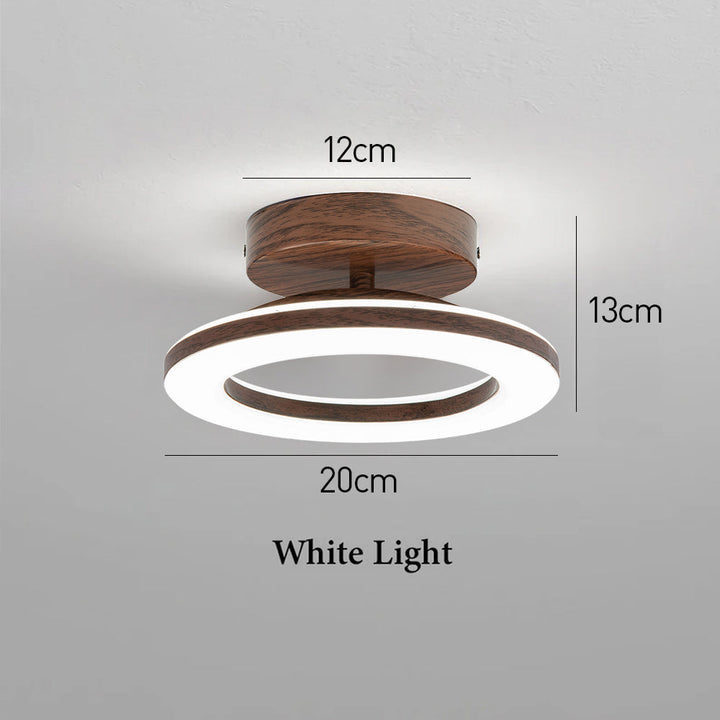 Contemporary round LED disc ceiling light, energy-efficient, offering bright, ambient lighting.