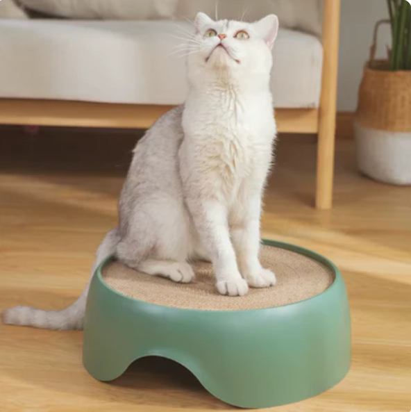Stylish cat decor accessory: round cat bed with a cozy plush center and outer scratching surface for pets.