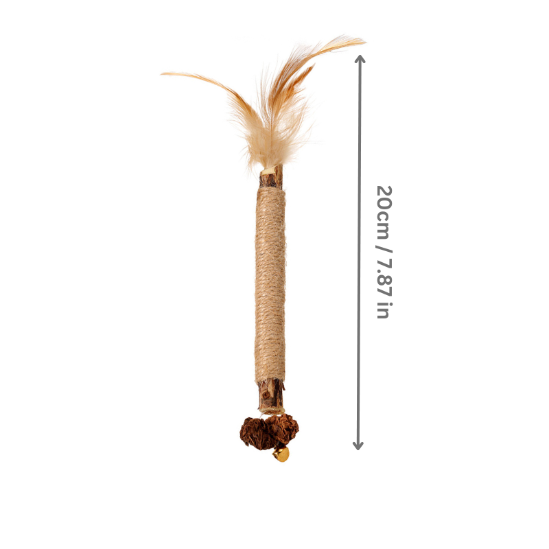 Feline dental chew toy: natural silvervine sticks, 5-pack for cat's oral health & plaque removal. Pet supplies.