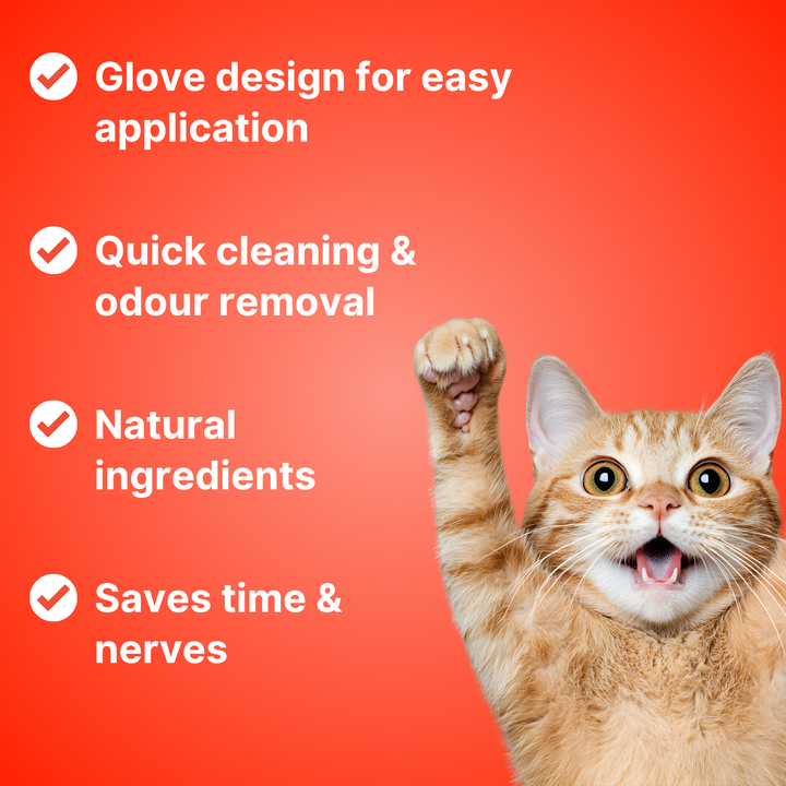 Hand using a convenient glove pet wipe for quick, no-rinse deodorizing, perfect for dogs & cats.