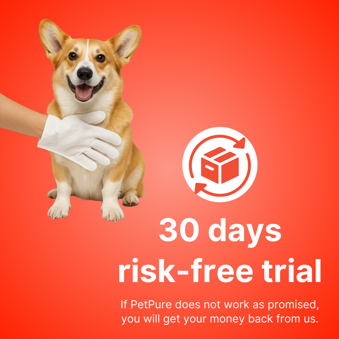 Dog after outdoor adventures gets a quick clean with deodorizing pet wipes for instant freshness.