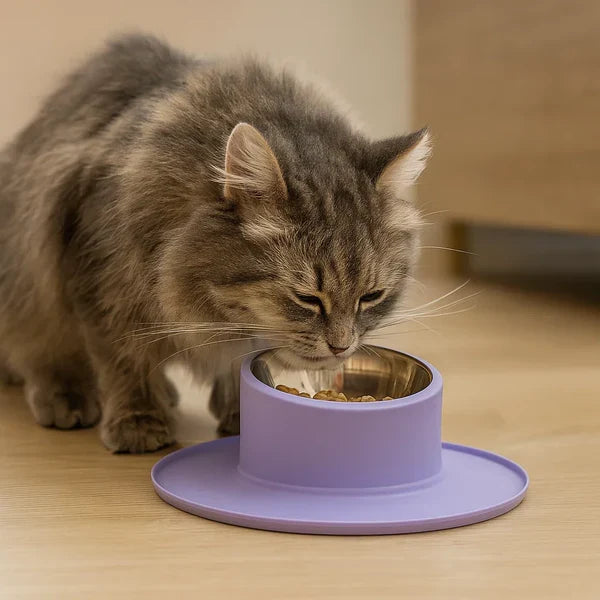 Leak-proof stainless steel cat bowl with non-slip base, preventing spills for cleaner pet feeding.