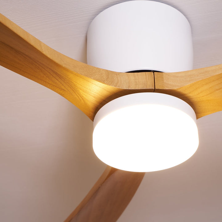 Bright LED ceiling fan with wooden sycamore blades. Nordic elegance, remote control for convenience.