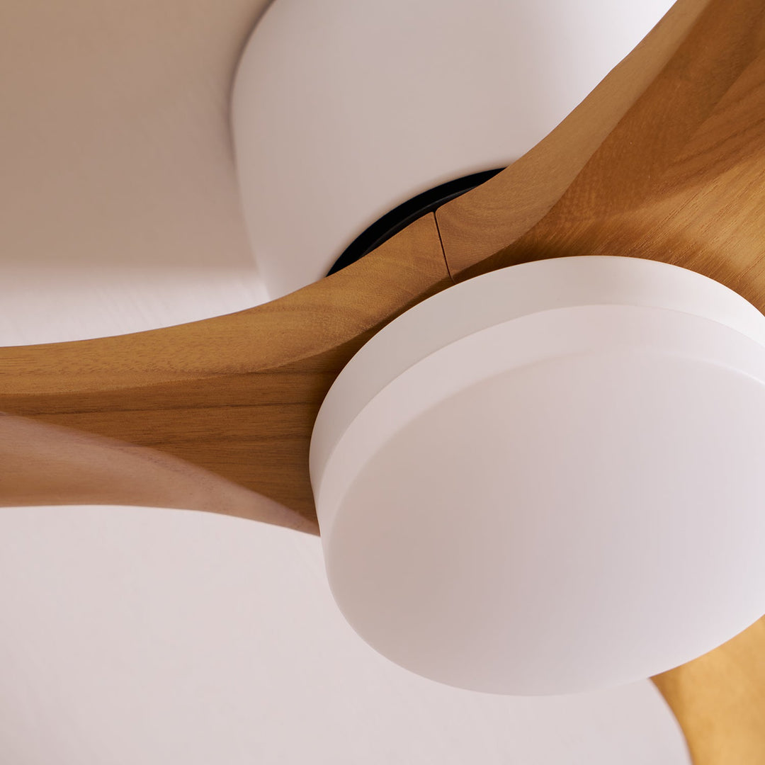 Modern home lighting: wooden ceiling fan, remote LED, sycamore blades, for a serene ambiance.