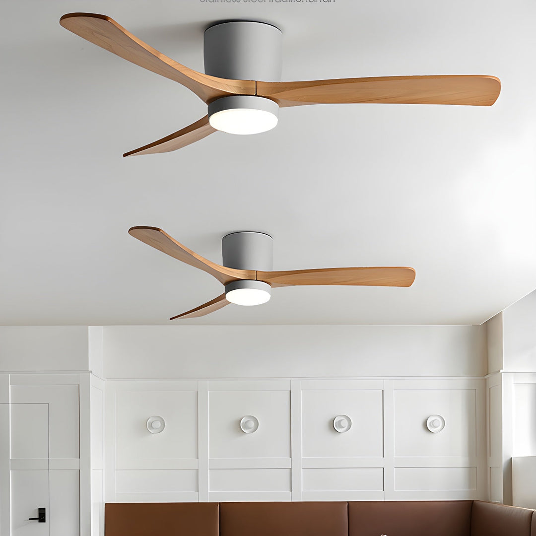 Unisex wooden ceiling fan, remote LED, sycamore blades. A quiet, modern centerpiece for any room.
