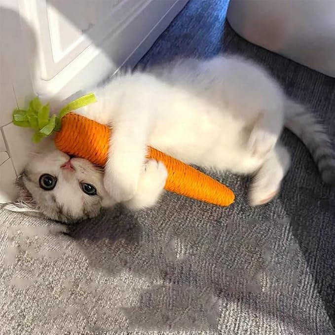 Orange carrot-shaped sisal cat scratching toy for playful house cats.