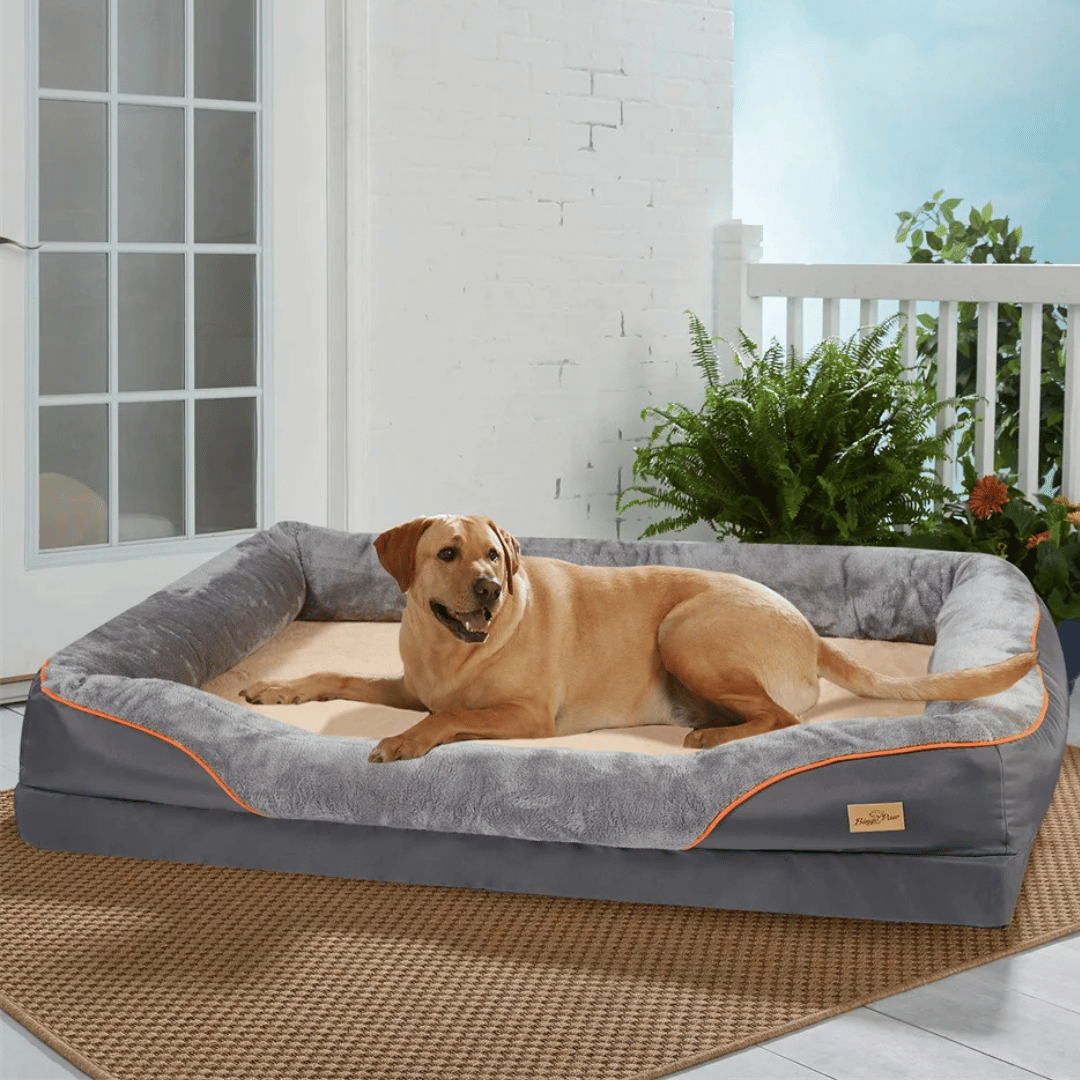 Comfy memory foam dog bed for large breeds, ensuring therapeutic joint support and restful sleep.