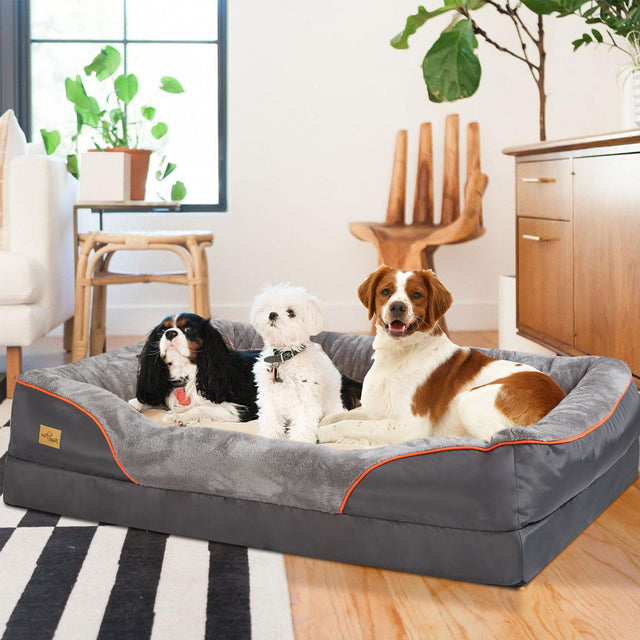 Pet supplies: large orthopedic memory foam bed, ideal for big dogs' joint health and relaxation.