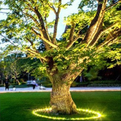 "Outdoor LED spotlights softly lighting tree bases with warm white glow, enhancing garden aesthetics with elegant aluminum de