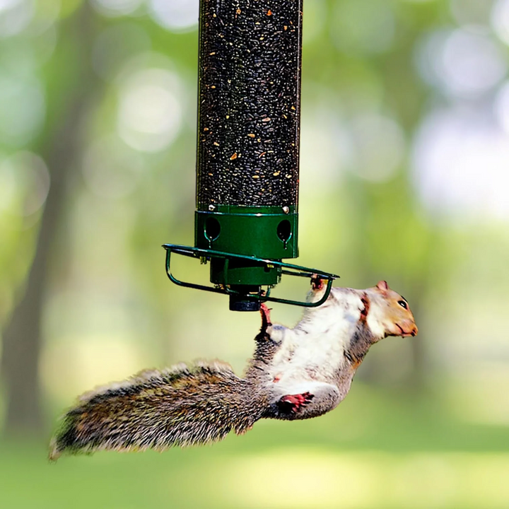 Durable metal hanging bird feeder, designed to be squirrel-proof for outdoor garden use.