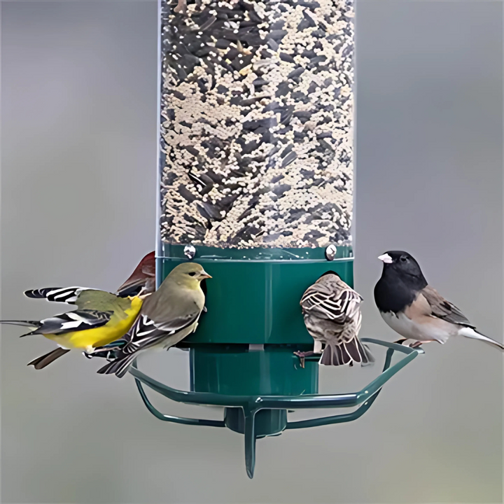 Garden bird feeder with a spinning perch, ideal for bird watching and attracting wild birds.