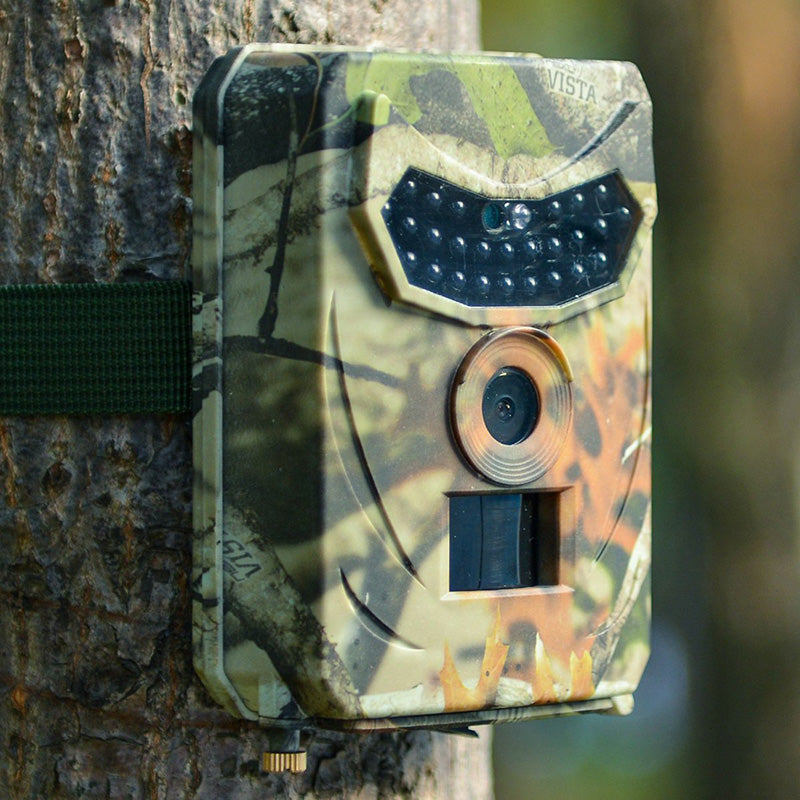 Outdoor wildlife trail camera with HD night vision & motion detection for nature observation.