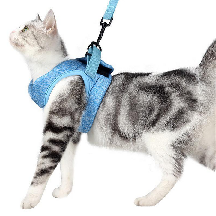 Pet cat harness & leash set for safe outdoor walking & adventures. Comfortable & adjustable for your feline friend.