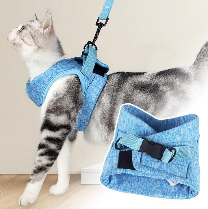 Walking cat harness with leash. Secure, comfortable, and adjustable for outdoor adventures & feline exploration.