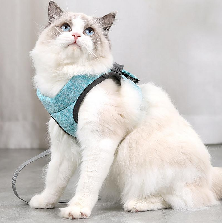 Comfortable feline walking harness with secure leash, perfect for outdoor exploration & escape prevention.
