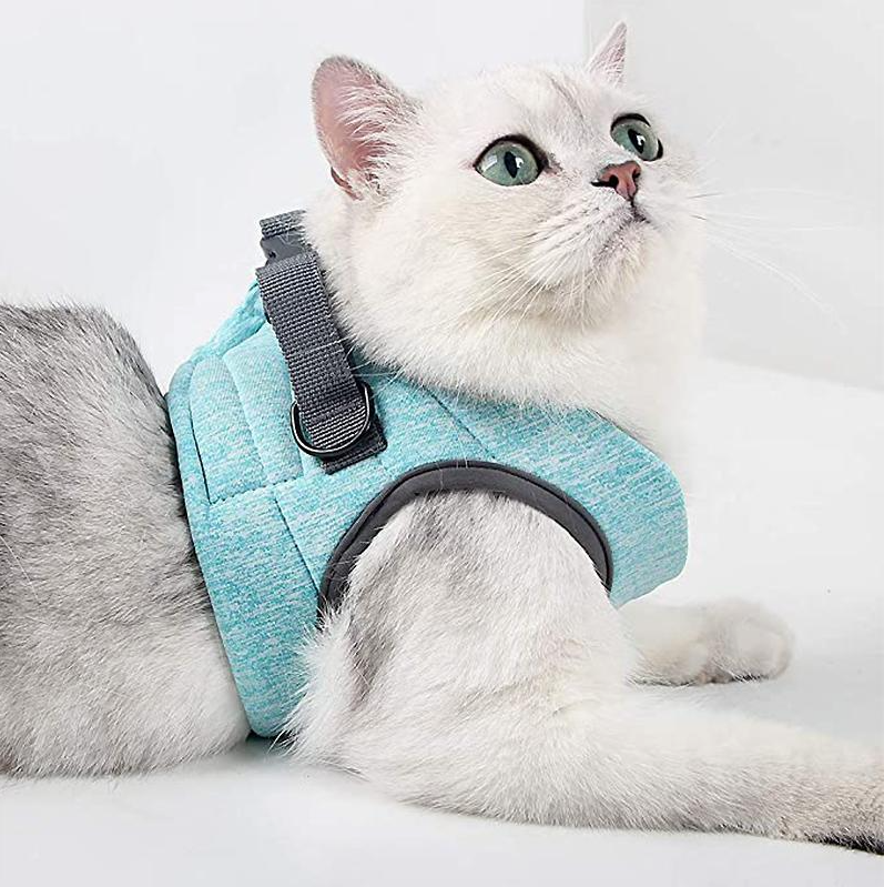 Adjustable cat harness and leash for a perfect, secure fit, ideal for walking outdoor cats safely.