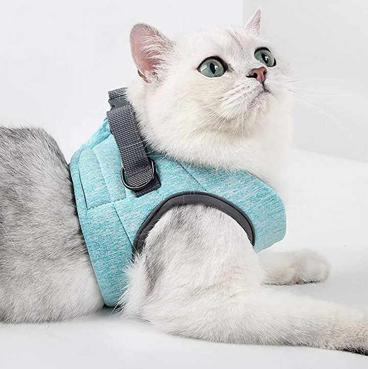 Adjustable cat harness and leash for a perfect, secure fit, ideal for walking outdoor cats safely.