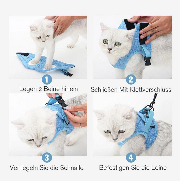Durable pet cat harness with leash, designed for safe outdoor exploration & prevents escapes. Comfortable.