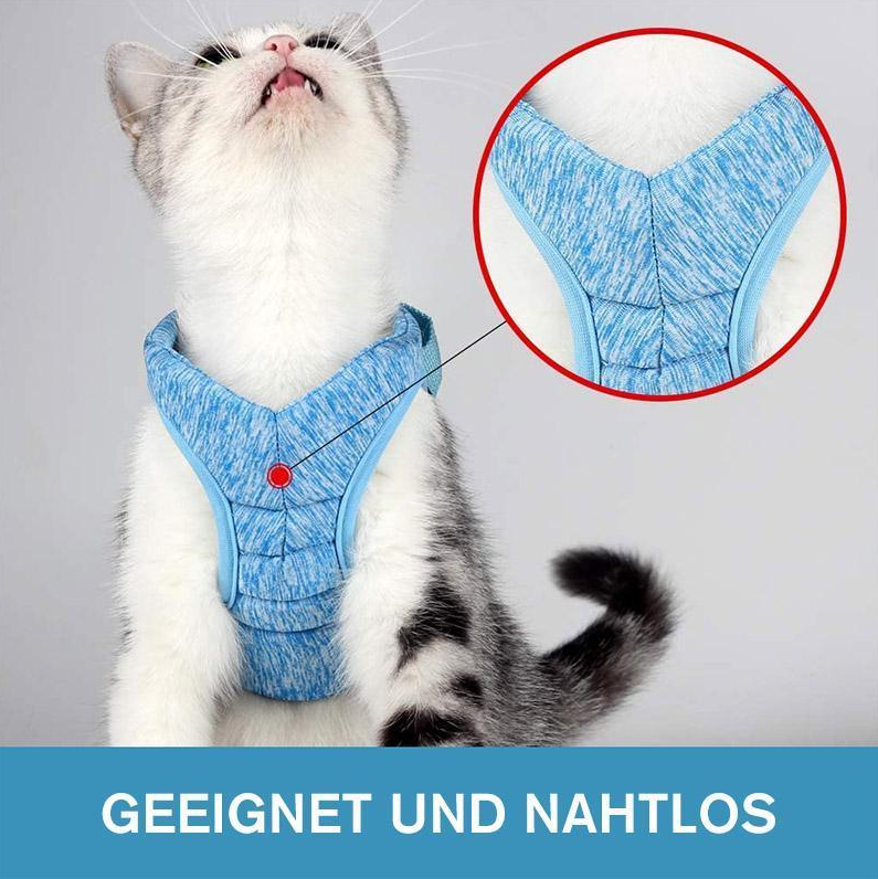 Secure cat harness & leash for controlled outdoor walks & adventures. Ensures safety & comfort for your cat.