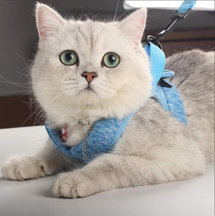 Pet cat harness & leash for daily walks, preventing escapes & ensuring comfort for your adventurous feline.