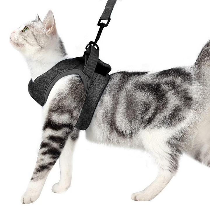 Escape-proof cat harness & leash for outdoor cats. Comfortable, adjustable pet gear for safe walking.