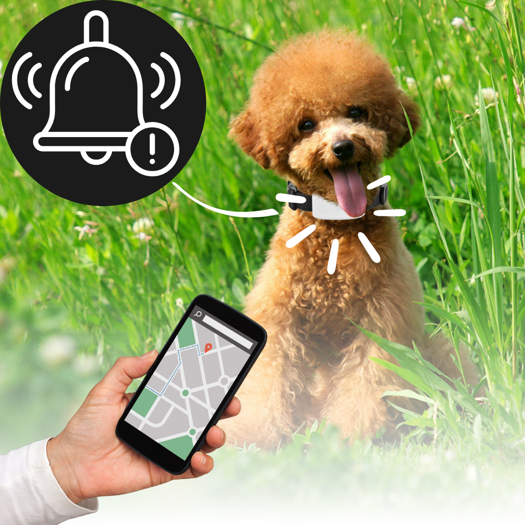 Pet GPS Tracker Collar for dogs & cats, real-time location tracking, geo-fence safety, waterproof, ensuring pet safety.