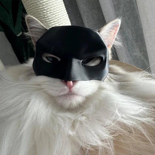 Pet Heroic cat mask for unique feline appearances. Comfortable pet costume & funny cat photo prop.