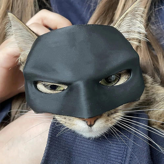 Stylish unique cat mask. Feline apparel pet costume for a distinctive & heroic cat appearance.