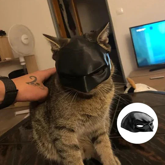 Funny cat mask pet costume for Halloween & dress-up fun. Unique cat accessory for memorable photos.