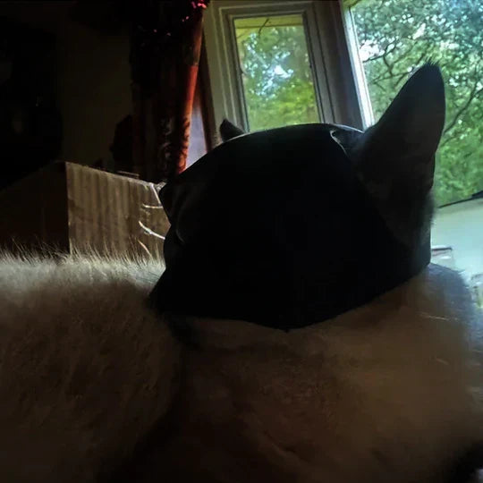 Superhero cat mask, Pet Heroic feline apparel. Perfect pet costume for a heroic and unique look.