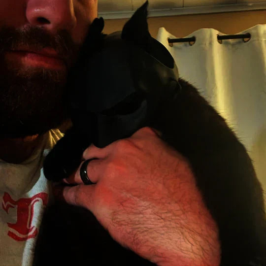 Pet Heroic unique cat mask accessory. Ideal pet costume & photo prop for a funny & heroic cat.