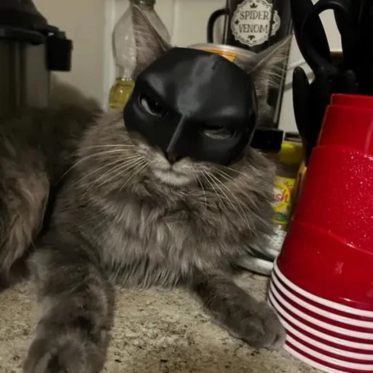 Playful cat mask costume, Pet Heroic. Funny feline apparel for memorable photos & pet dress-up.