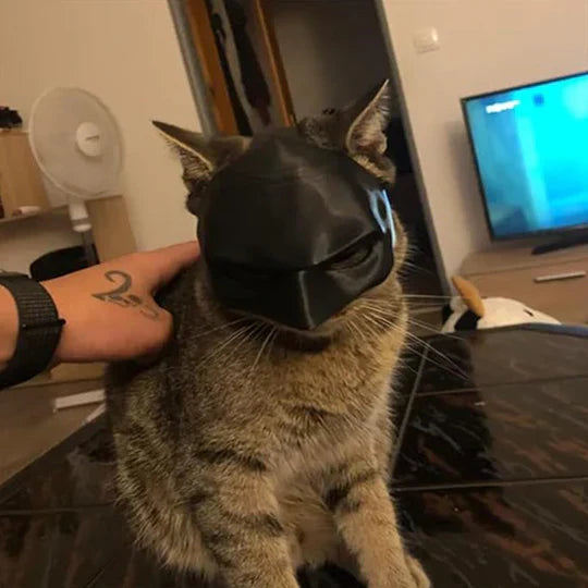 Halloween cat mask, unique pet costume. Comfortable cat accessory for parties & fun photo ops.