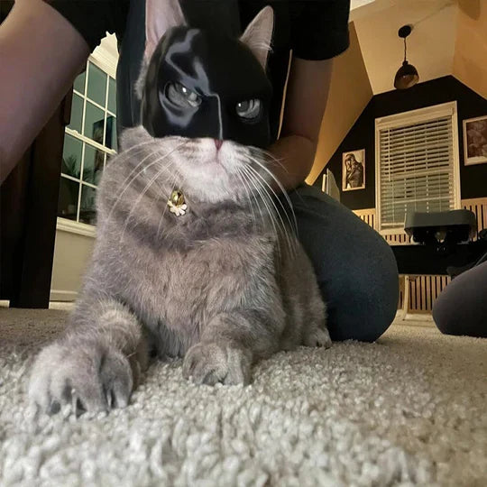 Cat photo prop mask, unique feline apparel. Pet Heroic costume for funny and memorable cat pictures.
