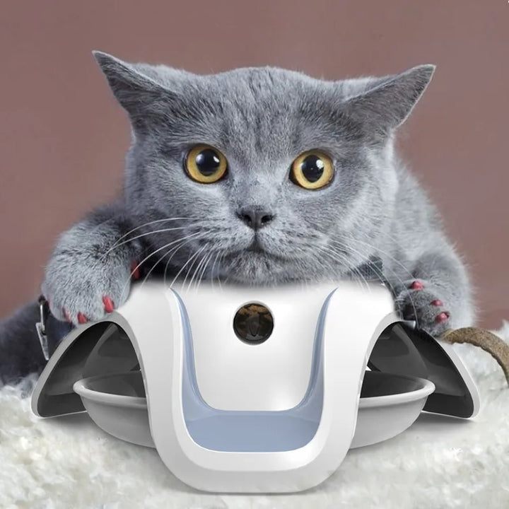 Pet's Interactive Slow Feeder Bowl, 3D food dispenser for healthy eating & mental stimulation.