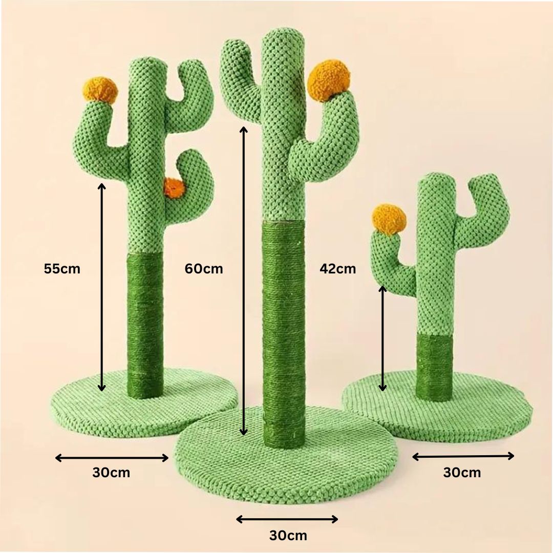 Sisal cactus cat scratcher & toy, providing claw care, feline enrichment & pet furniture.