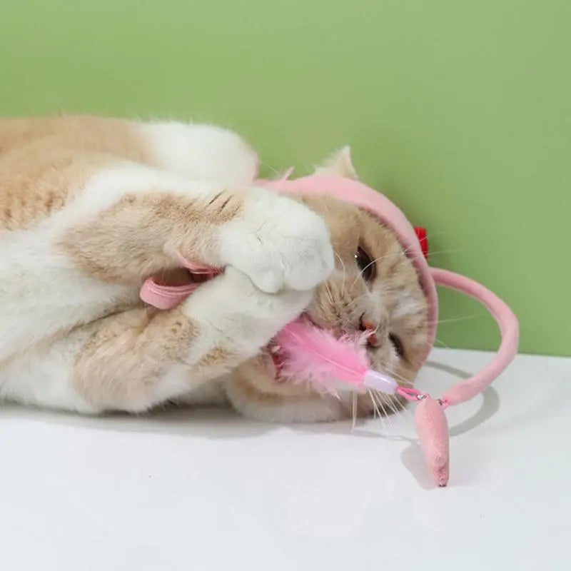Funny cat in a playful pet costume hat with an attached feather, an interactive toy.