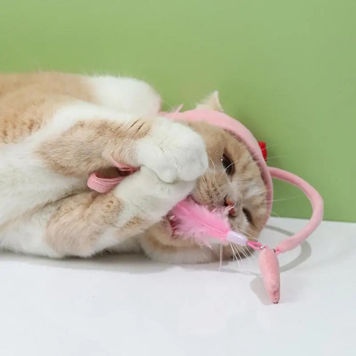 Funny cat in a playful pet costume hat with an attached feather, an interactive toy.