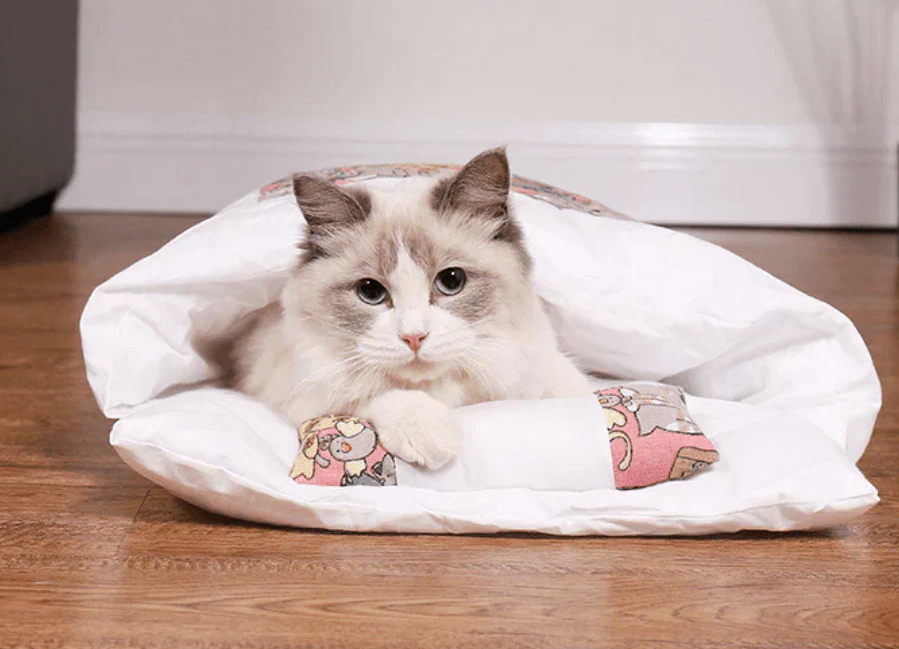 Cozy pet hideaway & plush cat bed, providing ultimate comfort for your feline.