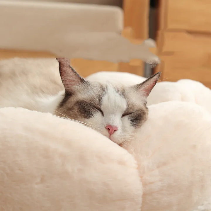 Cozy plush flower cat bed, perfect for snuggling & deep sleep. Soft comfort for your beloved pet.