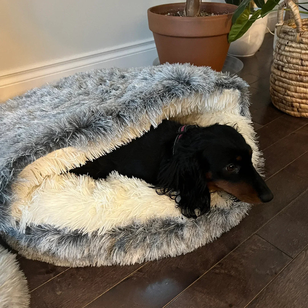 Plush SnuggleCave pet bed for ultimate comfort for cats and dogs. Washable cozy sanctuary for relaxation.