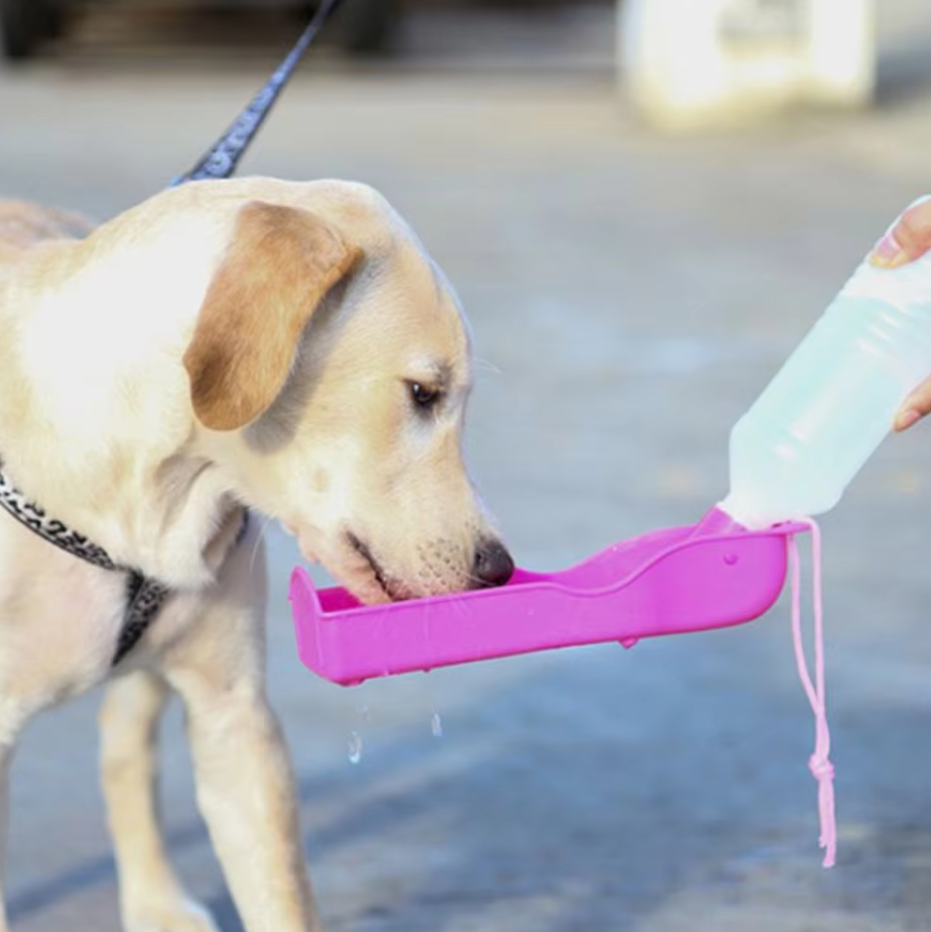 Travel dog accessory: convenient water bottle and bowl combo for on-the-go pet hydration.