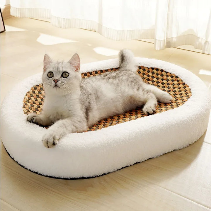 Premium cat bed with integrated scratching surface, offering ultimate comfort & fun for your feline friend.