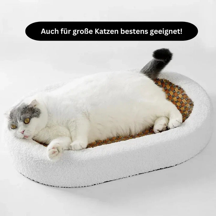 Modern cat bed & scratcher combo. Cozy pet furniture with durable scratching post for playful cats.