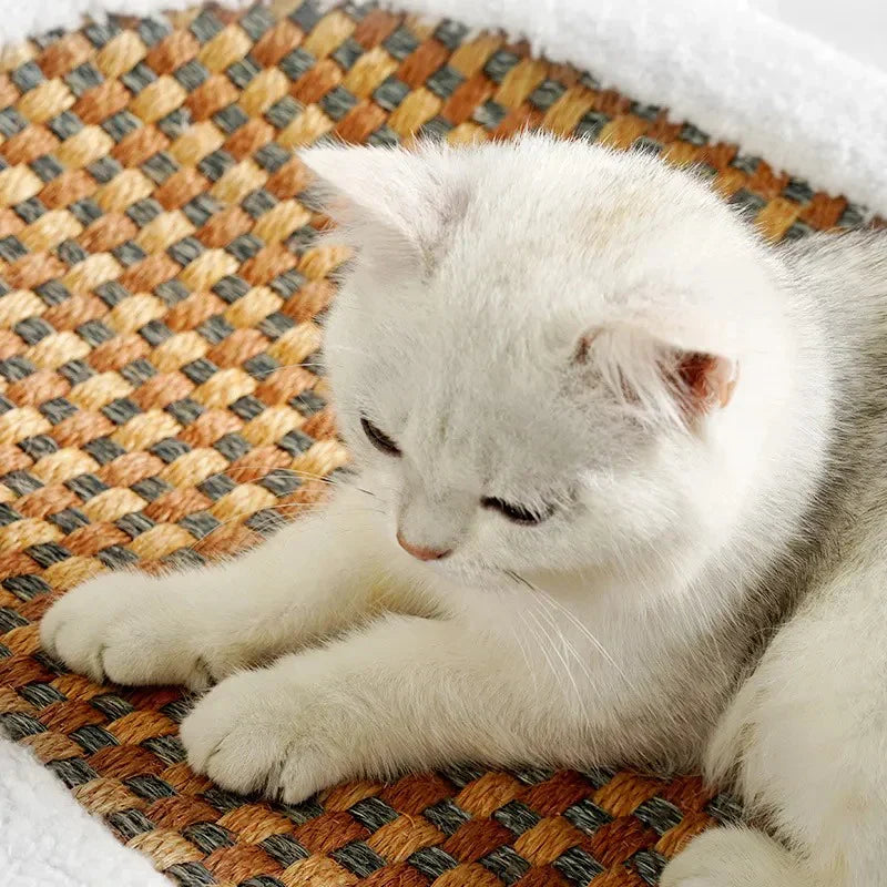 Durable scratching surface on a premium cat bed, perfect for feline fun & keeping claws healthy. Modern pet supplies.